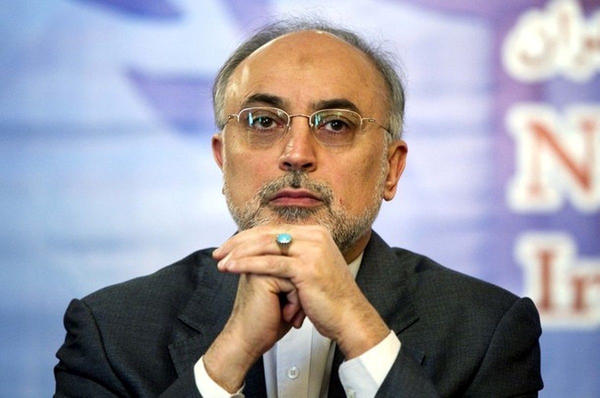 دیدار سفیر عربستان در تهران با علی‌اکبر صالحی و تمجید از او/ عکس

