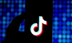 فعال فضای مجازی یک بسته پفک را برای آیندگان به یادگار گذاشت