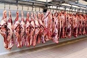 عرضه گوشت گوسفندی ۱۱۷ هزار تومانی در میادین