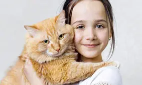 «گربه‌ها و آدم‌ها» در هاشور