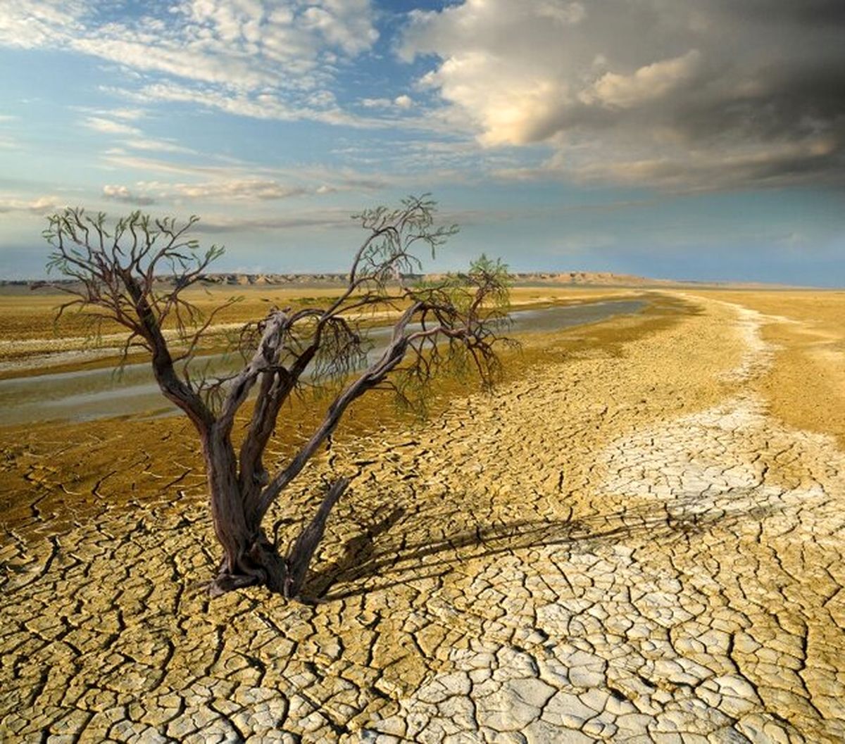 علت اصلی کم بارشی ها تغییر اقلیم است نه دخالت کشورها