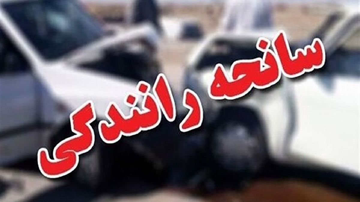  لحظه تصادف شاخ به شاخ در محور نوردوز-جلفا/ ویدئو