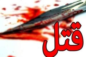 قتل خونین پسر تهرانی در درگیری خیابانی/ دوست مقتول بازداشت شد