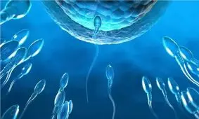 کنترل بارداری با سوئیچ مولکولی پنهان در اسپرم/ به سوی کنترل بارداری بر اساس تقاضا برای مردان