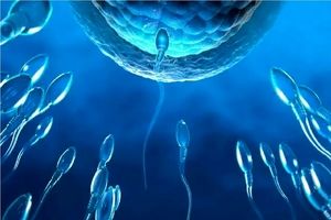 کنترل بارداری با سوئیچ مولکولی پنهان در اسپرم/ به سوی کنترل بارداری بر اساس تقاضا برای مردان