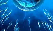 کنترل بارداری با سوئیچ مولکولی پنهان در اسپرم/ به سوی کنترل بارداری بر اساس تقاضا برای مردان