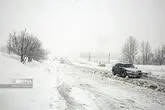 170189861_11