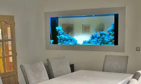 انواع مختلف آکواریوم