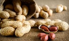 بادام زمینی روند پیری را آهسته می‌کند