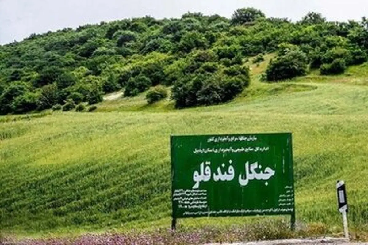 برای اولین بار در پرونده قطع درختان؛ حکم تبعید صادر شد