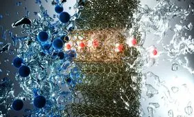 الهام از«پرهای پرندگان بهشتی» و «کتری‌های برقی» برای تصفیه آسان و سریع آب دریا

