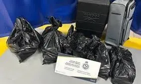 کاراندیش از نزدیکان به رضا پهلوی به جرم واردات موادمخدر در کانادا دستگیر شد