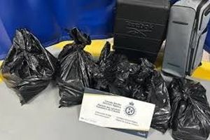 کاراندیش از نزدیکان به رضا پهلوی به جرم واردات موادمخدر در کانادا دستگیر شد