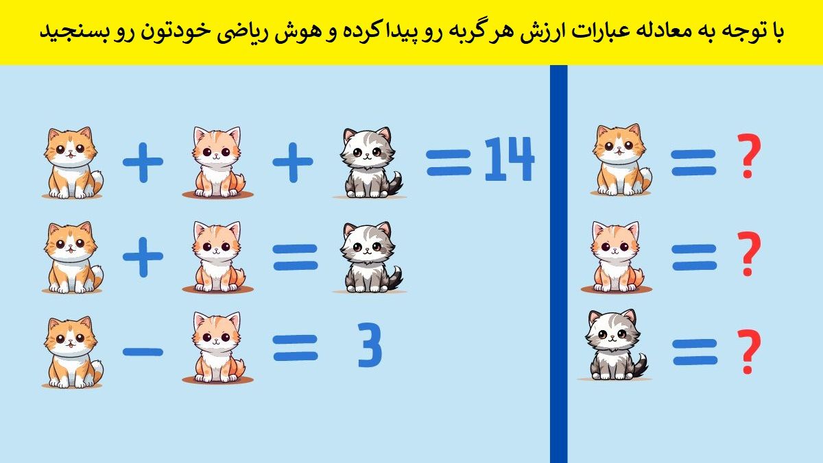 تست هوش ریاضی ارزش هر گربه