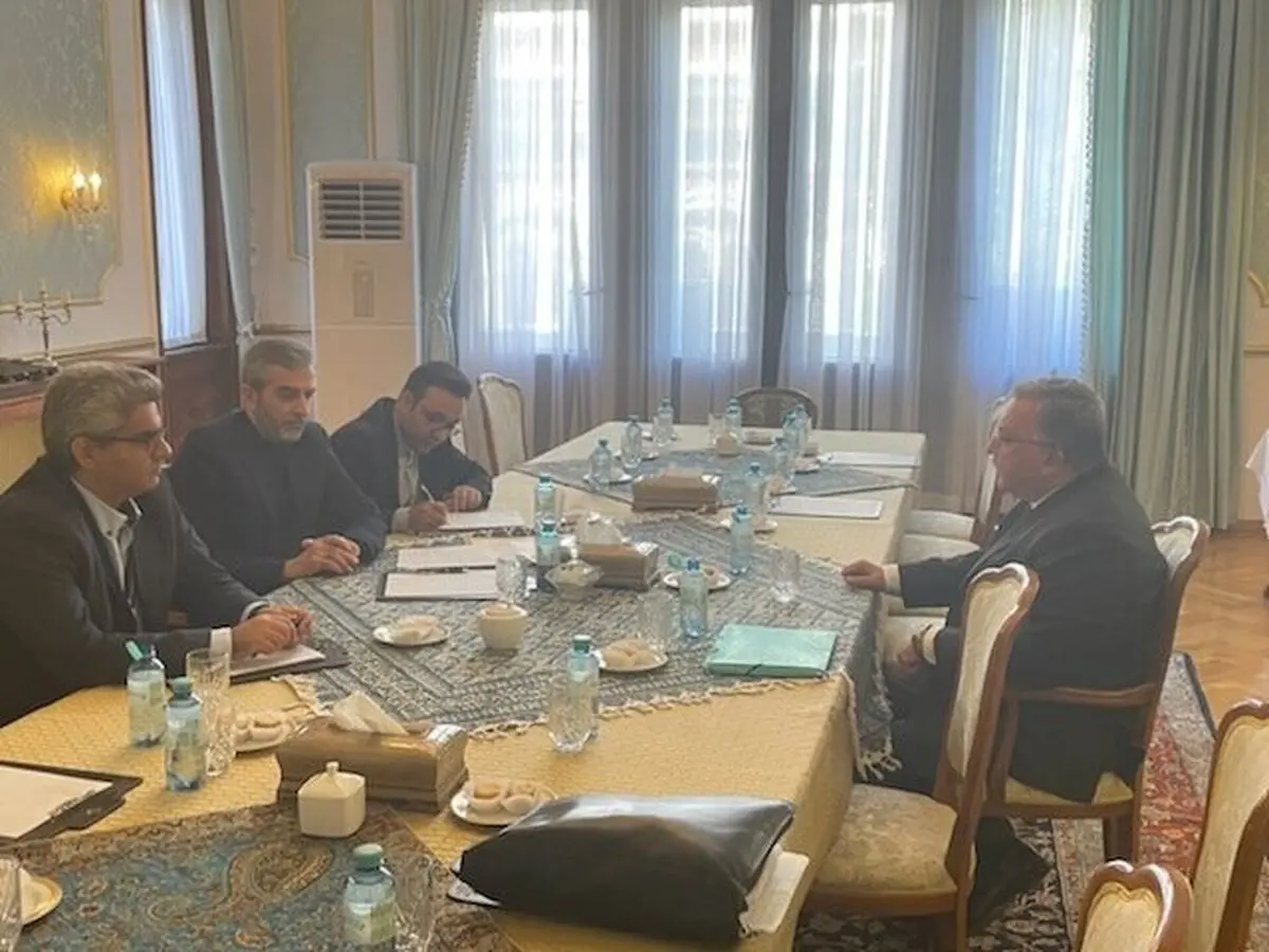 اولیانوف: دیدار پر ثمری با هیات مذاکره کننده ایرانی در وین داشتم