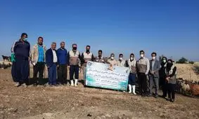 رزمایش سراسری جهاد امنیت غذایی پایدار دربخش کشاورزی و دامی انجام می‌شود