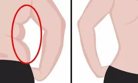 چربی های دور کمر را چطور از بین ببریم؟