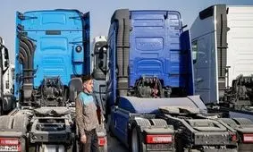 کشف یک محموله مواد مخدر شیشه توسط مربیان سگ‌های موادیاب گمرک/ ویدئو