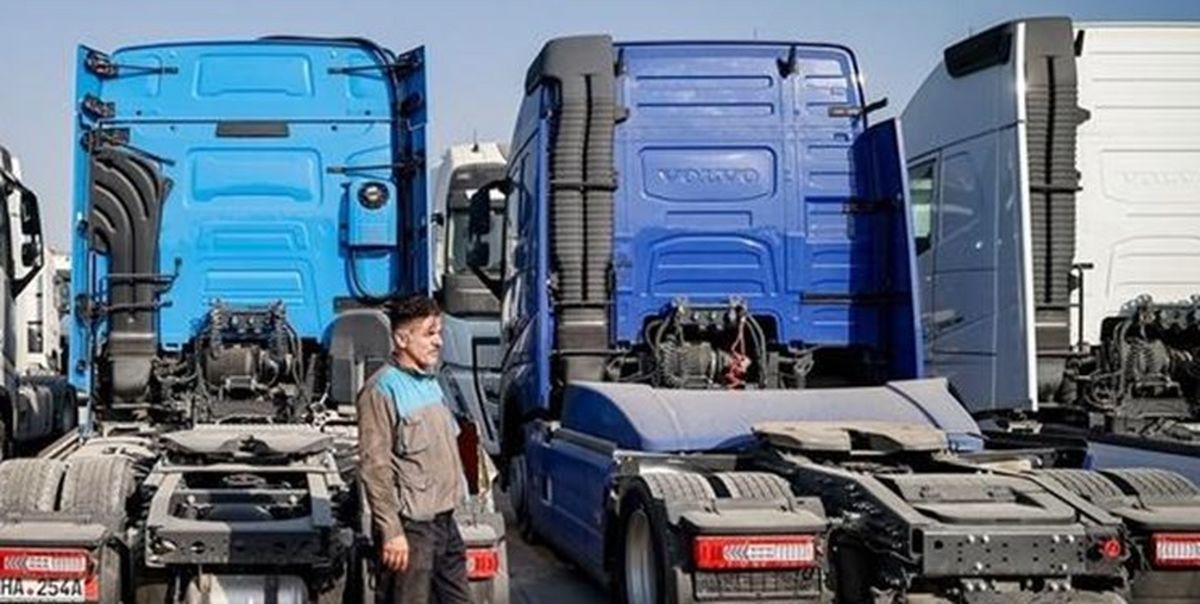 کشف یک محموله مواد مخدر شیشه توسط مربیان سگهای موادیاب گمرک/ ویدئو