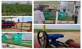 گام دیگر توسعه نیشکر در تحقق شعار سال/ نیشکر فارابی موفق به دریافت مجوز دانش‌بنیان شد