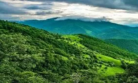 حمله به قلب هیرکانی برای احداث پارکینگ/ عکس