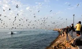 هشدار دریایی «زرد» سازمان هواشناسی و خطر غرق شدن شناگران

