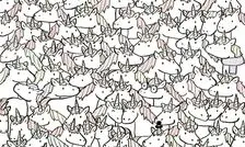 تست بینایی: یک سرگرمی نه چندان دشوار 