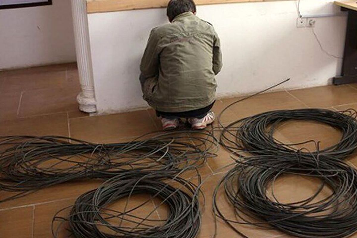 بازداشت عامل قطعی برق در فومن