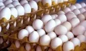 قیمت هر شانه تخم مرغ به کمتر از ۴۰۰ هزار تومان رسید