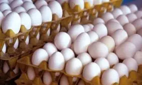 قیمت هر شانه تخم مرغ به کمتر از ۴۰۰ هزار تومان رسید