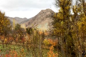سفر به زرین دشت و چشمه‌های آب معدنی استان تهران/ تصاویر