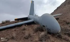 سپاه پهپاد هرمس شکار کرد/ عکس