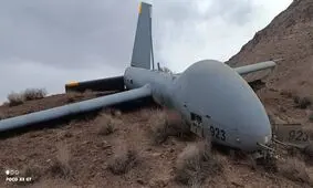 سپاه پهپاد هرمس شکار کرد/ عکس