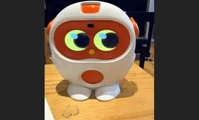 این ربات، برادر کوچک من است!