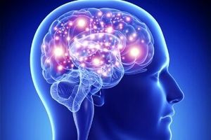 آلزایمر معکوس شد