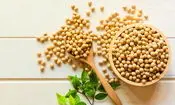 در مصرف سویا احتیاط کنید