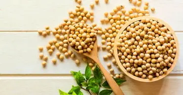 در مصرف سویا احتیاط کنید