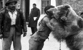 سفر به تهران قدیم؛ کشتی با خرس در خیابان‌های تهران/ تصاویر