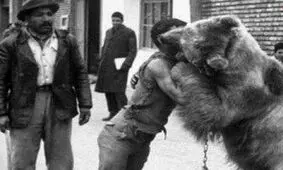 سفر به تهران قدیم؛ کشتی با خرس در خیابان‌های تهران/ تصاویر