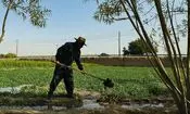 حقوق مستمری بگیران روستایی 30 درصد افزایش یافت