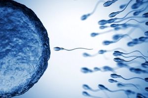 ۵ دلیل کاهش اسپرم مردان در سراسر جهان