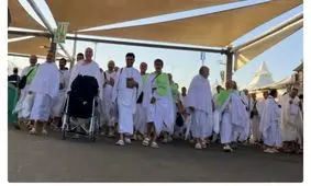 ۴۳ درصد حجاج به کشور بازگشتند