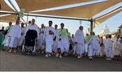 ۴۳ درصد حجاج به کشور بازگشتند
