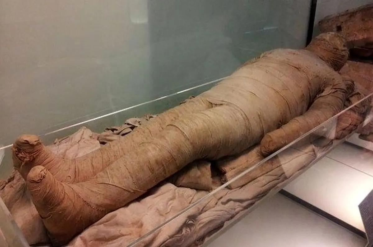 لحظه کشف مومیایی‌های ۲۵۰۰ ساله در سقاره مصر/ ویدئو