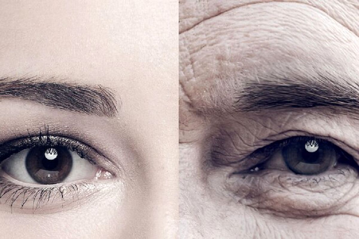 چرا موجودات زنده، پیر میشوند؟