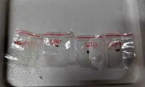 پلیس فدرال آمریکا دانشمندان چینی را به تروریسم کشاورزی متهم کرد

