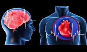 کشف ارتباط بین بیماری قلبی و تغییرات مغزی

