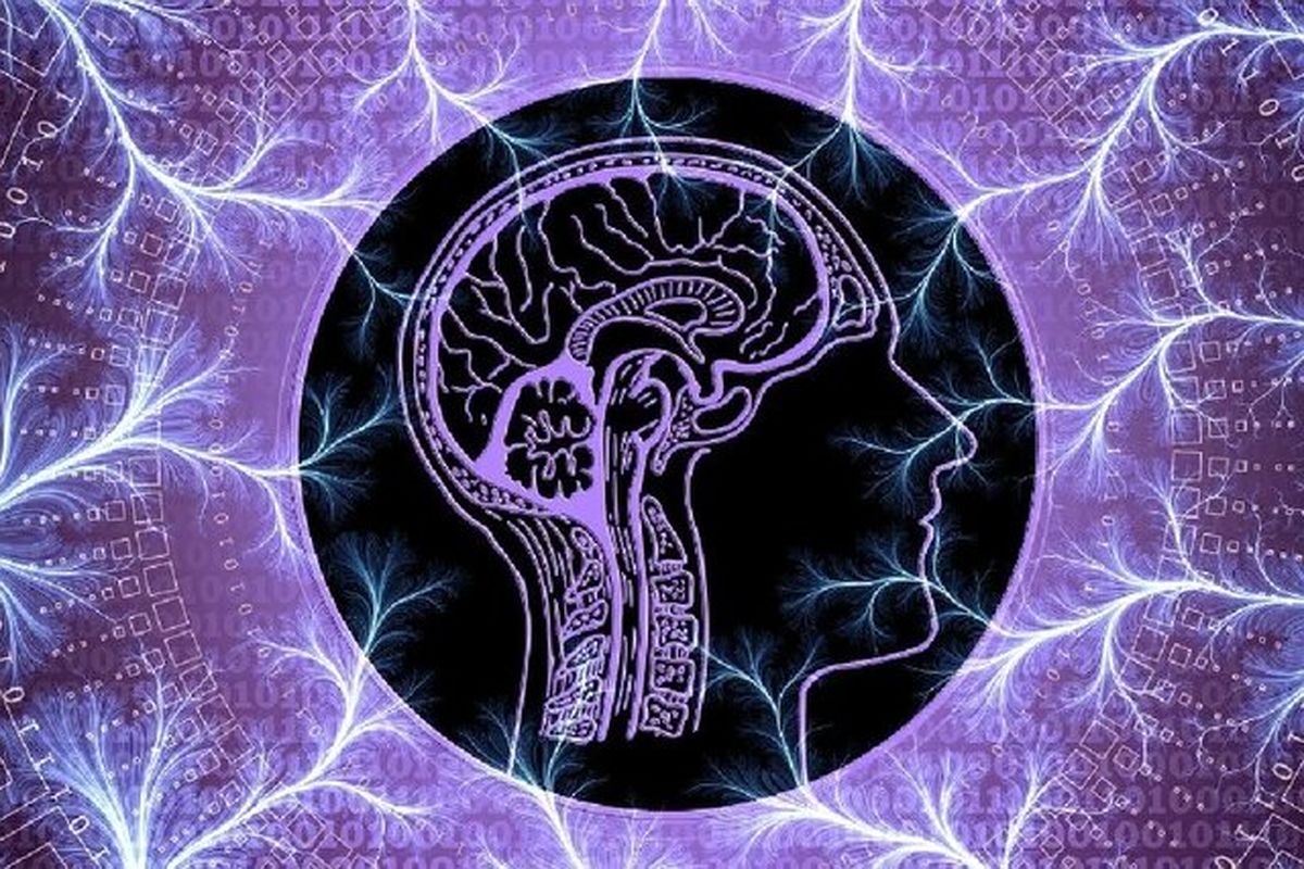 چرا برخی از مبتلایان آلزایمر زودتر از دنیا میروند؟