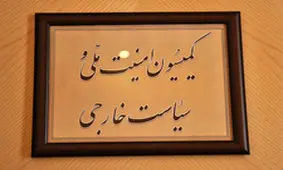 ورود کمیسیون امنیت ملی به حادثه حرم رضوی

