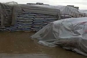 سیل اخیر زاهدان به حدود 300 تن برنج خسارت زد/ گمرک: شرکت انبارهای عمومی به 3 اخطار پی در پی توجه نکرد